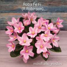 Rob's Fe Fi (R.Robinson)