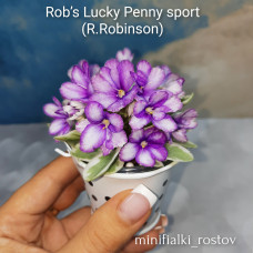 Rob's Lucky Penny спорт по листу (R.Robinson)