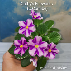 Cathy's Fireworks (C.Cornibe)