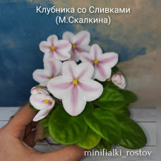 Клубника со Сливками (М.Скалкина)