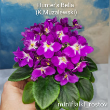 Hunter's Bella (K.Muzalewski)