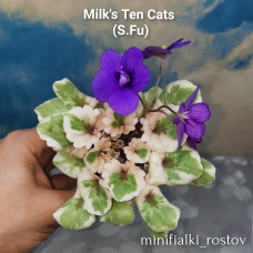 Milk's Ten Cats (S.Fu)