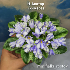 Н-Аватар химерный