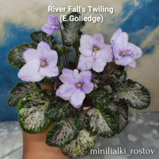 River Fall's Twiling (E.Golledge)