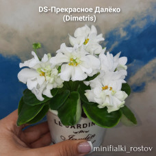 DS-Прекрасное Далёко (Dimetris)