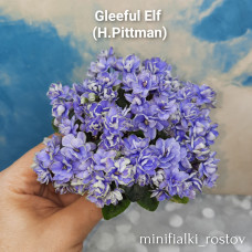 Gleeful Elf (H.Pittman)