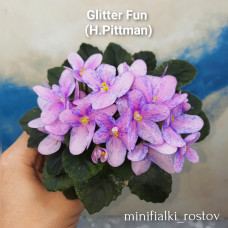 Glitter Fun (H.Pittman)