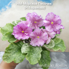 НМ-Морской Песочек  (Н.Баранова)