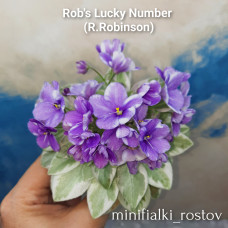 Rob's Lucky Number (R.Robinson) 