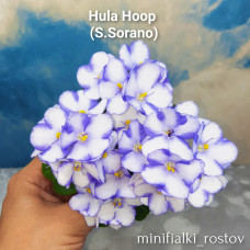 Hula Hoop (S.Sorano)