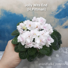 Jolly Wits End (H.Pittman)