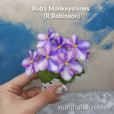 Rob's Monkeyshines (R.Robinson)