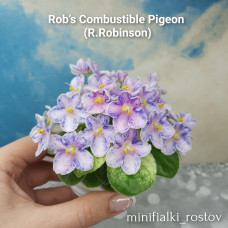 Rob's Combustible Pigeon (R.Robinson)