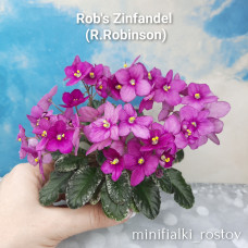 Rob's Zinfandel (R.Robinson)