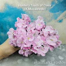 Hunter's       Touch of Class             (K.Muzalewski)