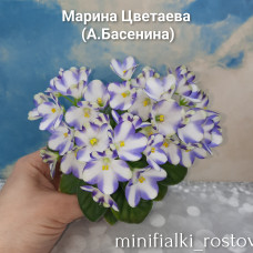 Марина Цветаева (А.Басенина)