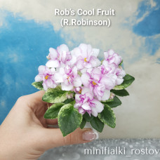 Rob's Cool Fruit (R.Robinson)