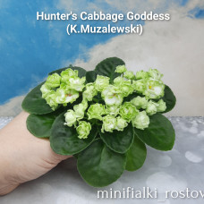 Hunter's Cabbage Goddess (K.Muzalewski)