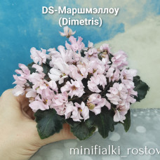 DS-Маршмеллоу (Dimetris)