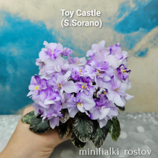 Toy Castle (S.Sorano)