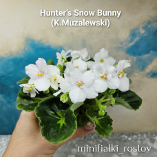 Hunter’s Snow Bunny (K.Muzalewski) 