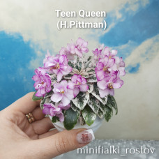 Teen Queen    (H.Pittman)