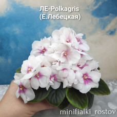 ЛE-Polkagris (Е.Лебецкая)