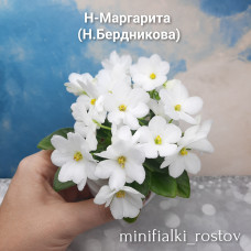 Н-Маргарита (Н.Бердникова)