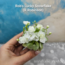 Rob's Lucky Snowflake  (R.Robinson)