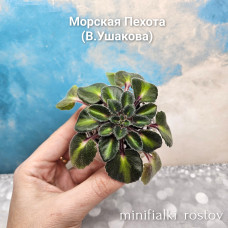 Морская Пехота (В.Ушакова) 