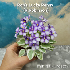 Rob’s Lucky Penny          (R.Robinson)