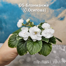 OS-Бланманже (С.Осипова) 