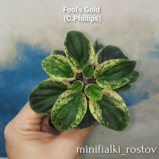 Fools' Gold        (C.Phillips)