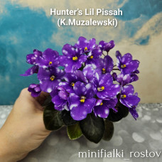 Hunter’s Lil Pissah (K.Muzalewski)