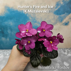 Hunter’s Fire and Ice (K.Muzalevski)