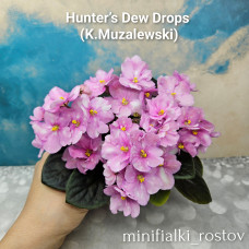 Hunter's Dew Drops (K.Muzalewski)