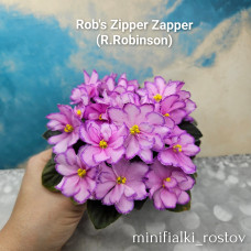 Rob's Zipper Zapper (R.Robinson)