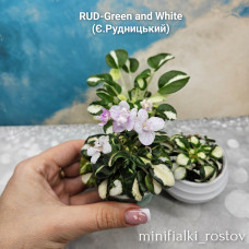 RUD-Green and White (Є.Рудницький)