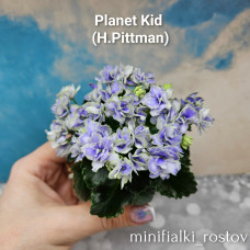 Planet Kid (H.Pittman)