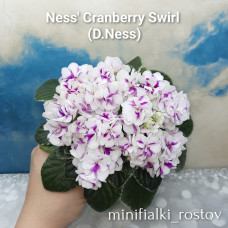 Ness' Cranberry Swirl (D.Ness)