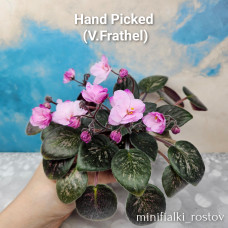 Hand Picked (V.Frathel)