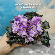 Hunter’s Bridled Passion (K.Muzalewski) 