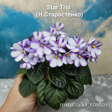 Star Trio (Н.Старостенко)