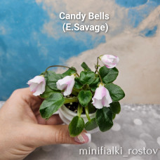 Candy Bells          (E.Savage)