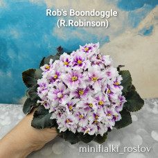 Rob's Boondoggle (R.Robinson)