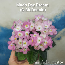 Mac's Day Dream (G.McDonald)