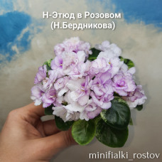 Н-Этюд в Розовом (Н.Бердникова)