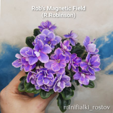 Rob's Magnetic Field (R.Robinson)