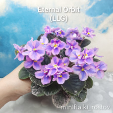 Eternal Orbit (LLG) 