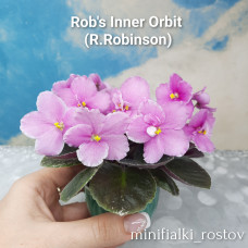 Rob's Inner Orbit (R.Robinson)